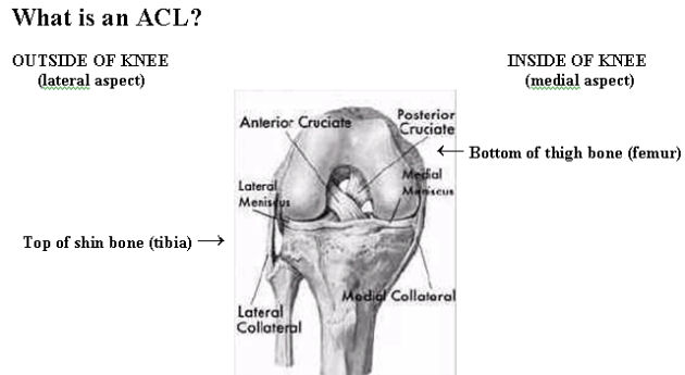 what is an ACL