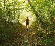 Person running in the woods